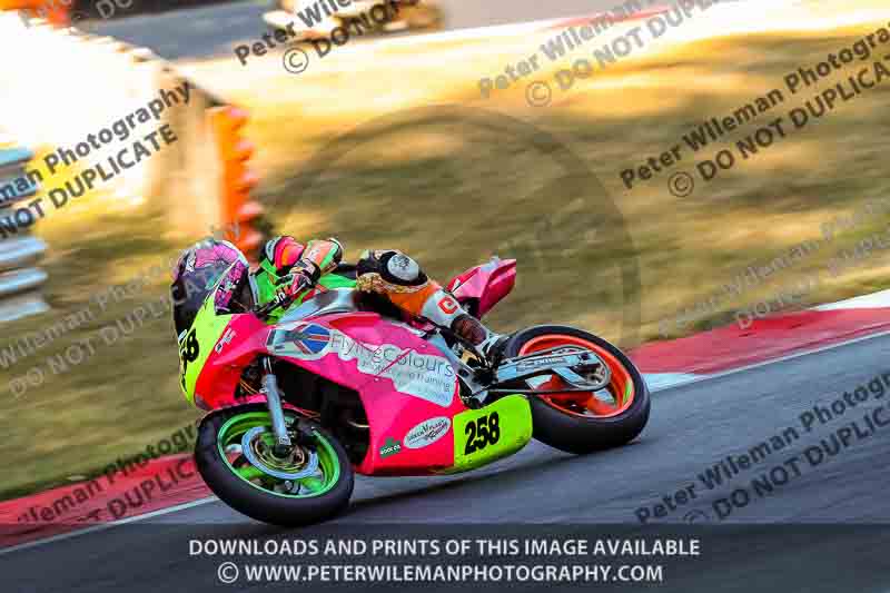 brands hatch photographs;brands no limits trackday;cadwell trackday photographs;enduro digital images;event digital images;eventdigitalimages;no limits trackdays;peter wileman photography;racing digital images;trackday digital images;trackday photos